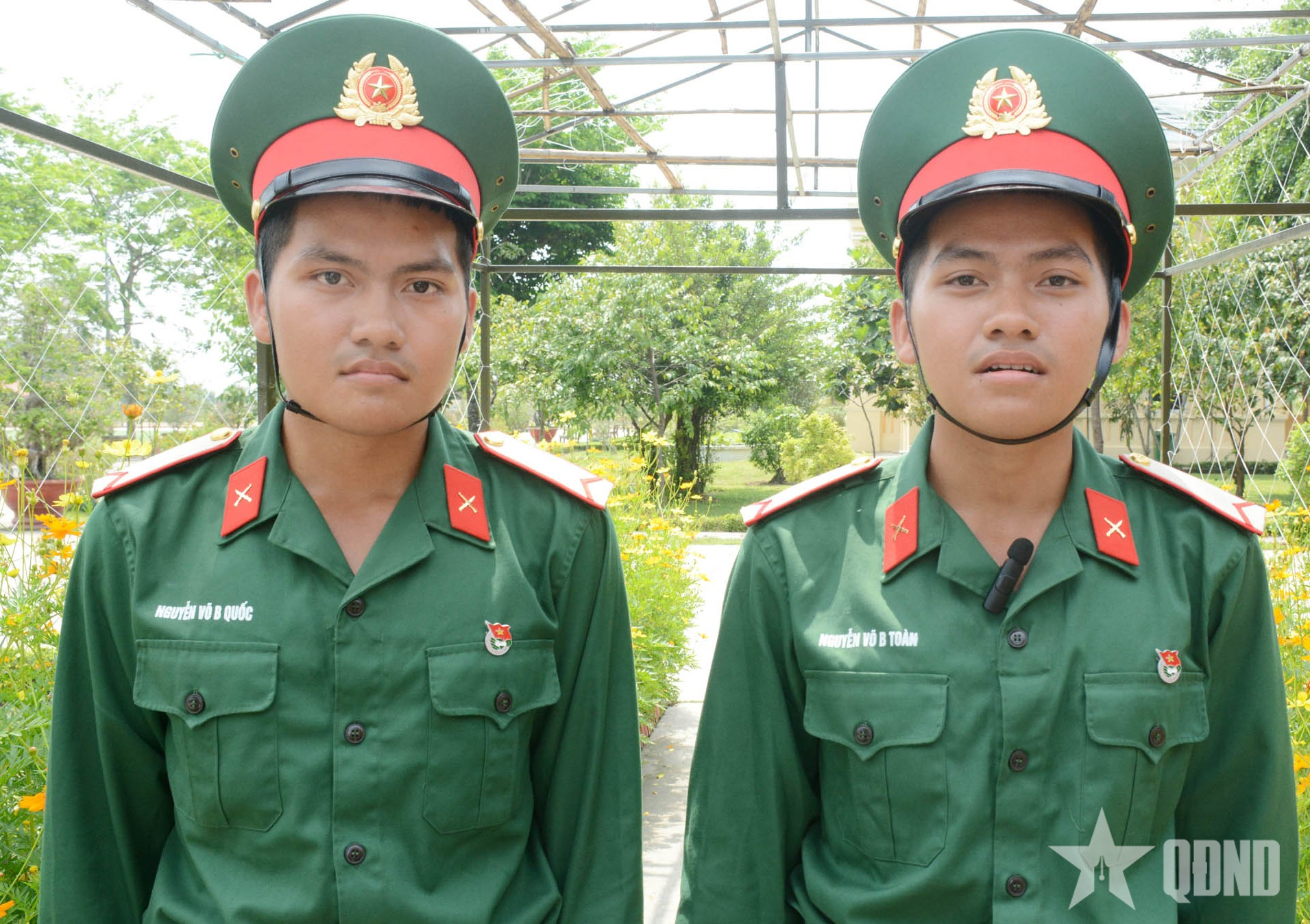 Anh em song sinh cùng tiến